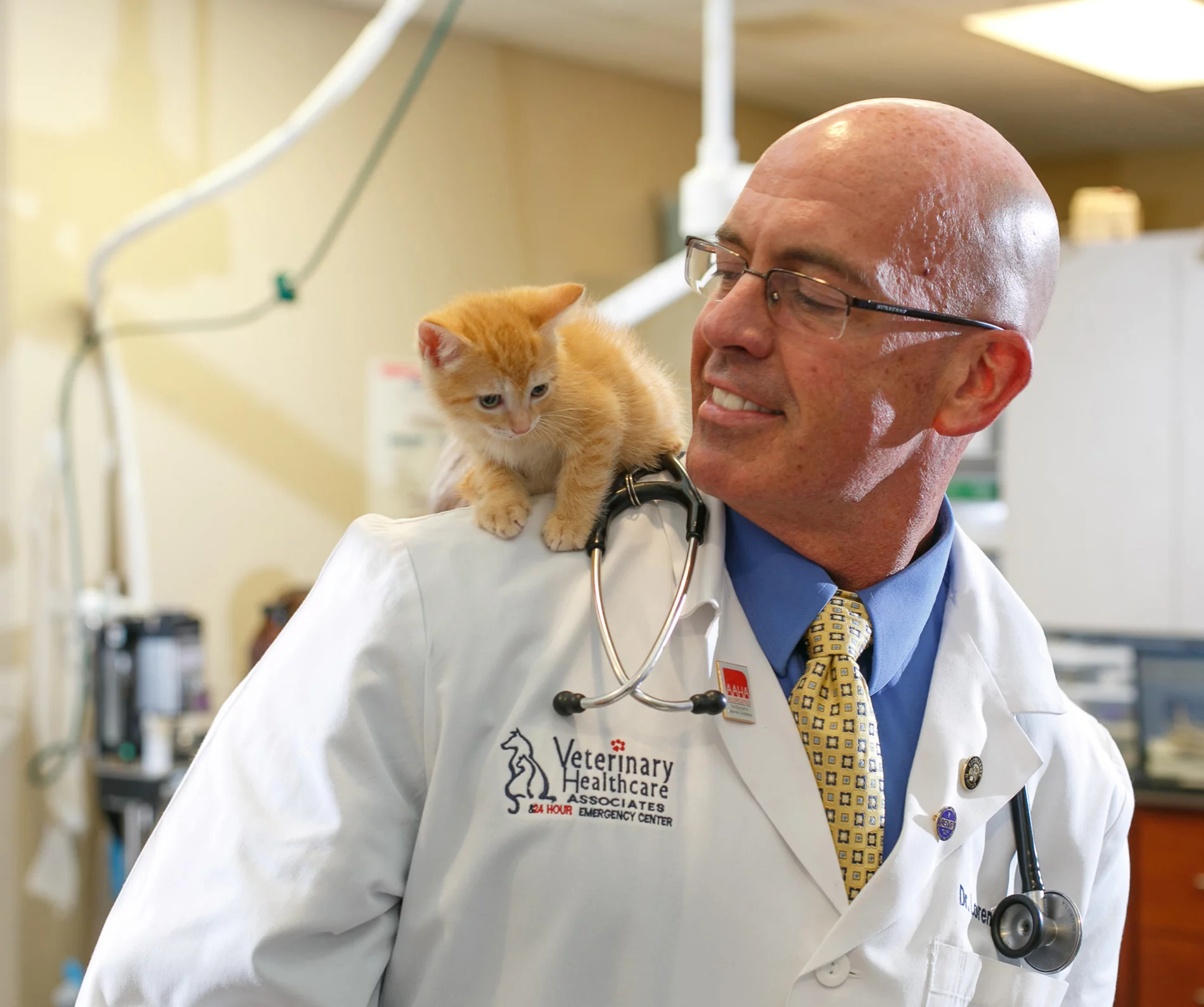dr nations with kitten on his shoulder