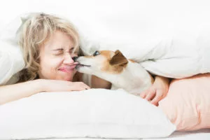 dog licking a sick human
