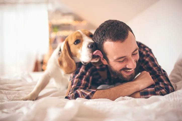 Dog licking blanket discount excessively