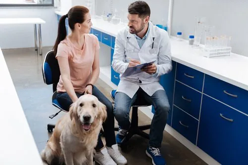 veterinarian-talking-with-pet-owner-and-dog-sitting-next-to-owner
