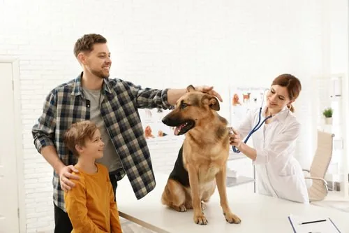 father-and-son-with-their-dog-visiting-vet-clinic-while-vet-listens-to-dog's-breathing