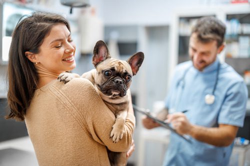 female-french-bulldog-owner-holding-her-dog-during-appointment-with-male-vet
