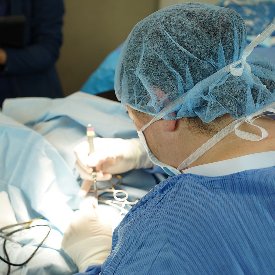 close up of female veterinarian performing TPLO surgery in operating room