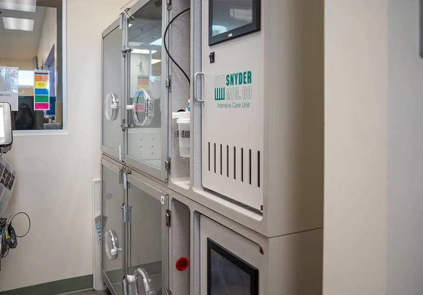 cat-icu-kennels