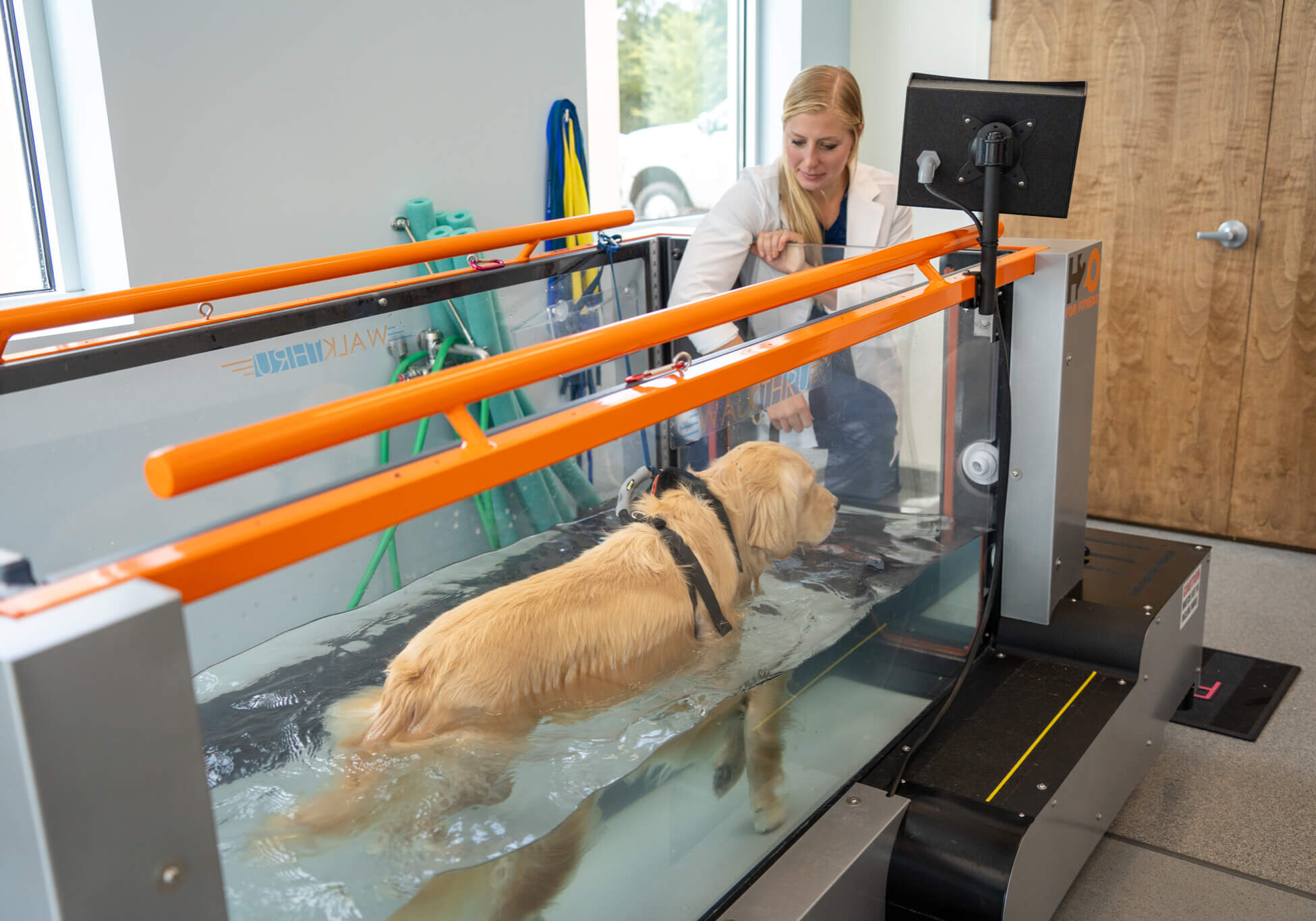 dog-using-water-treadmill