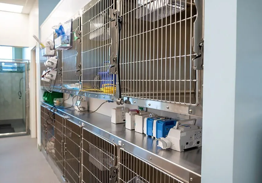 icu-kennels
