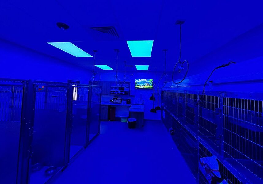 area of hospital with blue lights